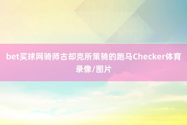 bet买球网骑师古却克所策骑的跑马Checker体育录像/图片