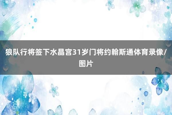 狼队行将签下水晶宫31岁门将约翰斯通体育录像/图片